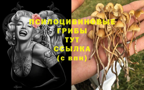 ГАЛЛЮЦИНОГЕННЫЕ ГРИБЫ Бородино