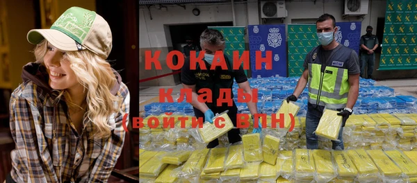 прущие грибы Корсаков