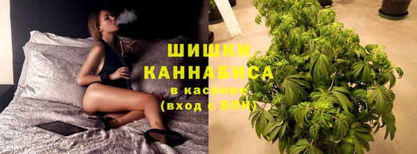 стаф Богородск