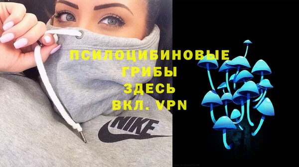 стаф Богородск