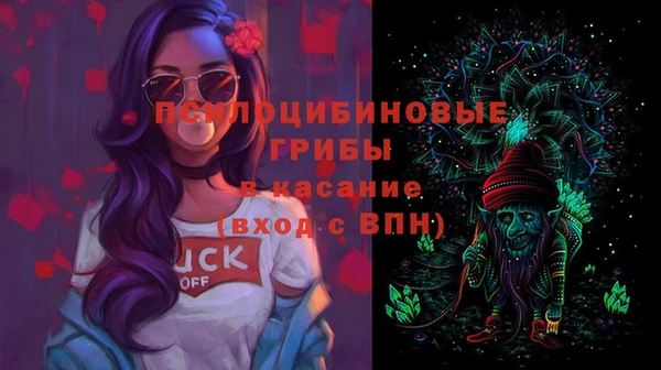 прущий лед Богородицк