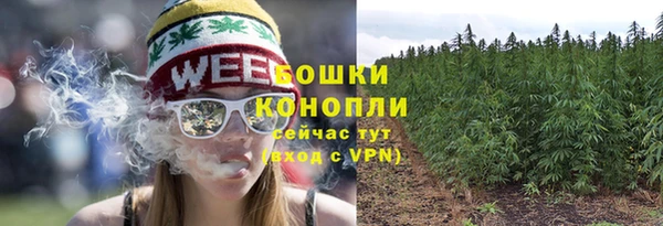 гашик Бронницы