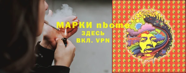 стаф Богородск
