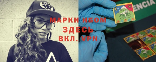 прущие грибы Корсаков