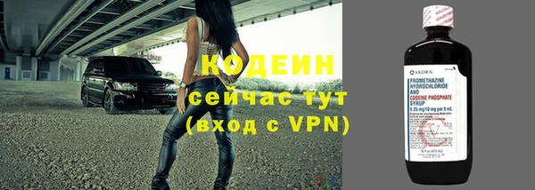 стаф Богородск